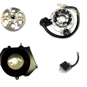 YZ250 (2003-2005) - Charging system 90W